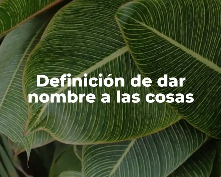 Definición de dar nombre a las cosas
