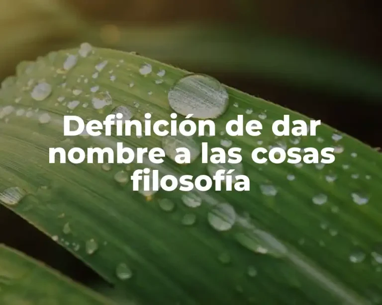 Definición de dar nombre a las cosas filosofía