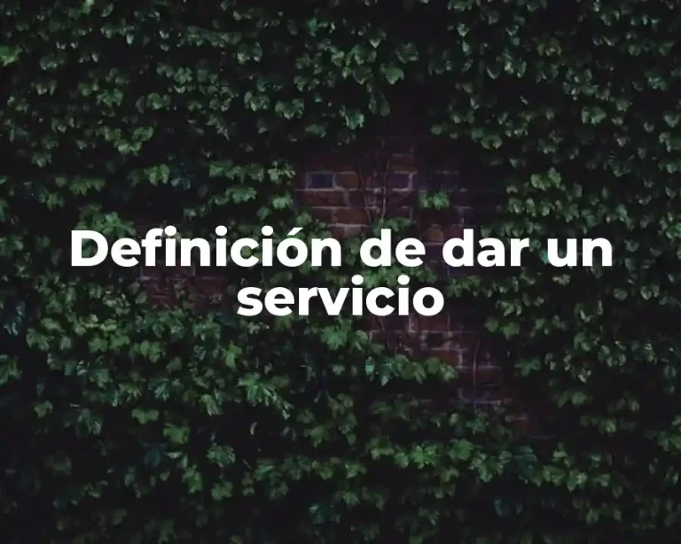 Definición de dar un servicio