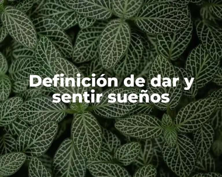Definición de dar y sentir sueños