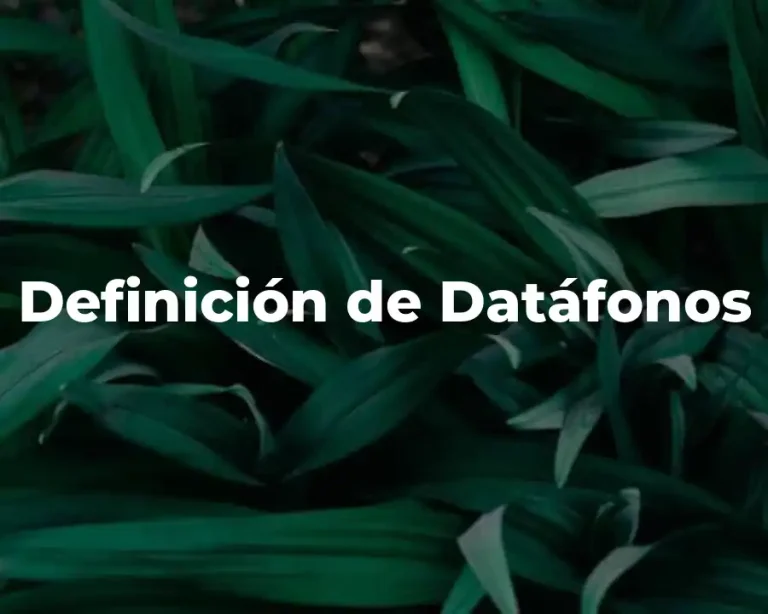 Definición de Datáfonos