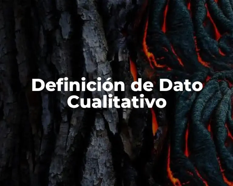Definición de Dato Cualitativo