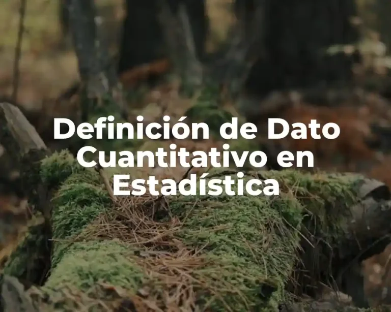 Definición de Dato Cuantitativo en Estadística