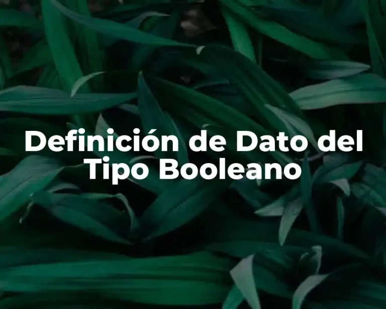 Definición de Dato del Tipo Booleano