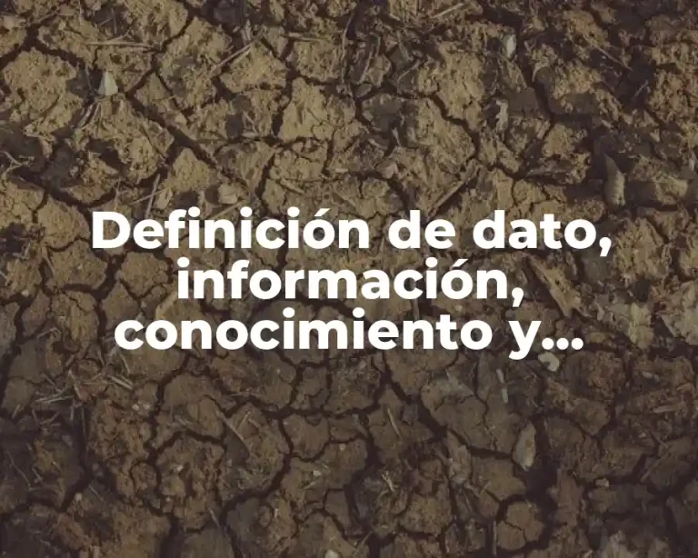 Definición de dato, información, conocimiento y sabiduría