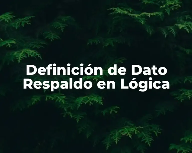 Definición de Dato Respaldo en Lógica