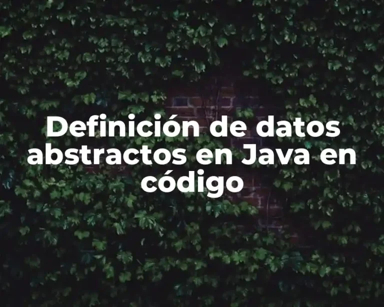 Definición de datos abstractos en Java en código