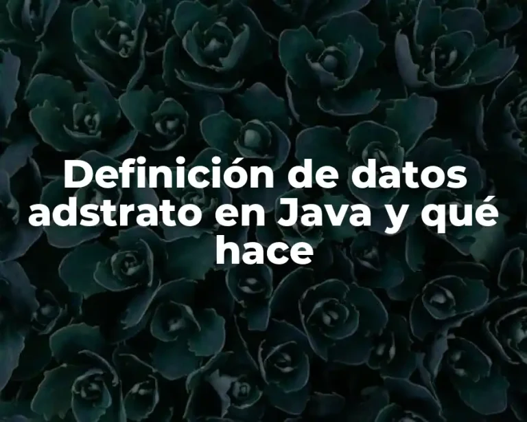 Definición de datos adstrato en Java y qué hace