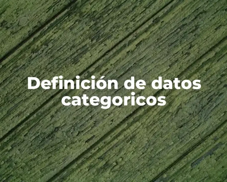Definición de datos categoricos