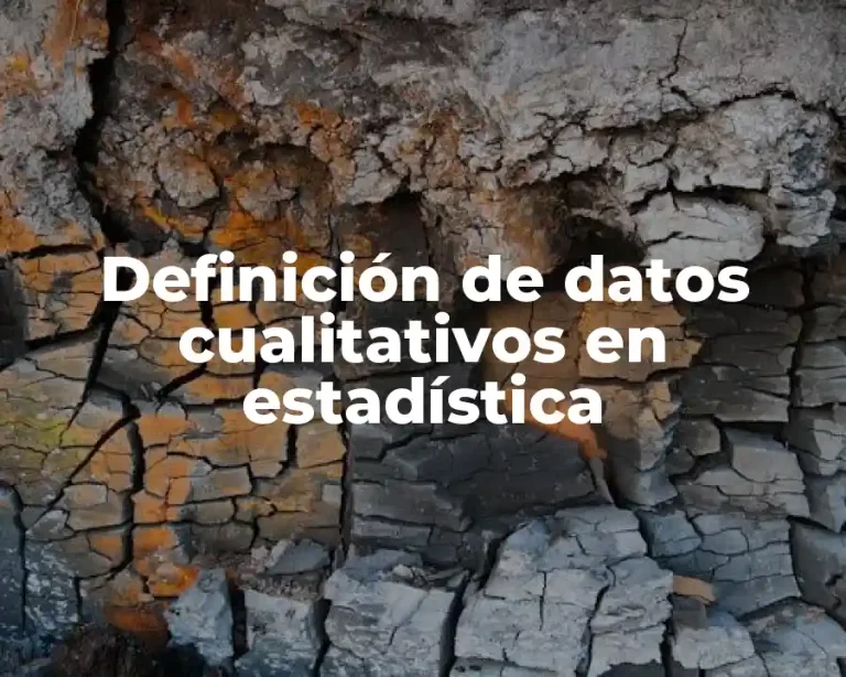 Definición de datos cualitativos en estadística