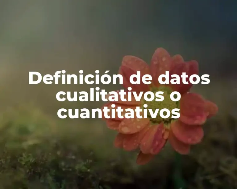 Definición de datos cualitativos o cuantitativos