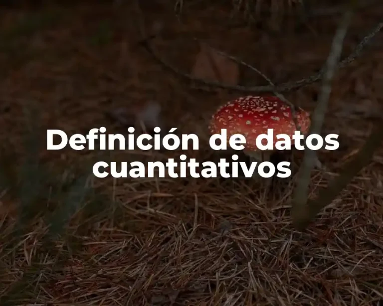 Definición de datos cuantitativos