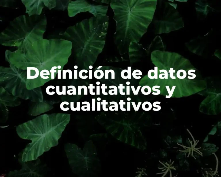 Definición de datos cuantitativos y cualitativos