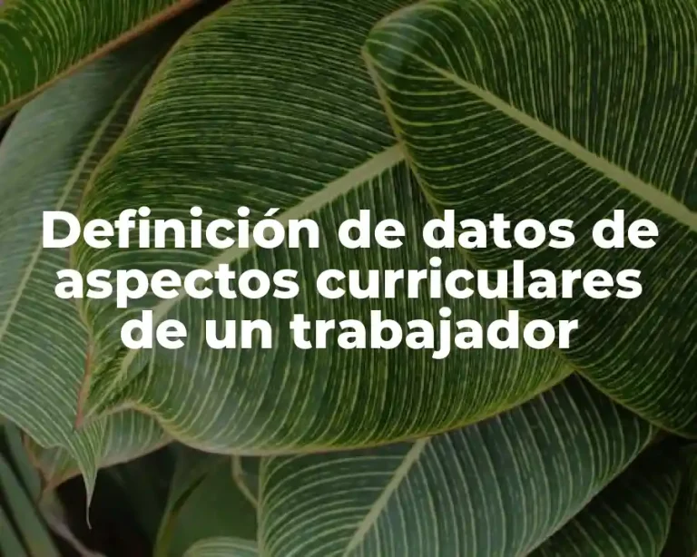 Definición de datos de aspectos curriculares de un trabajador