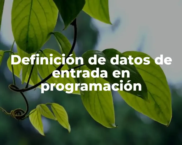 Definición de datos de entrada en programación