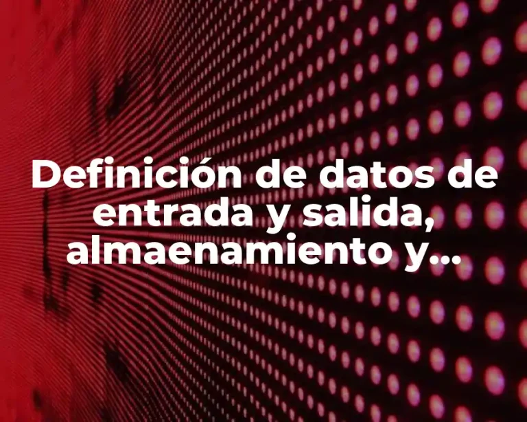 Definición de datos de entrada y salida, almaenamiento y procesos