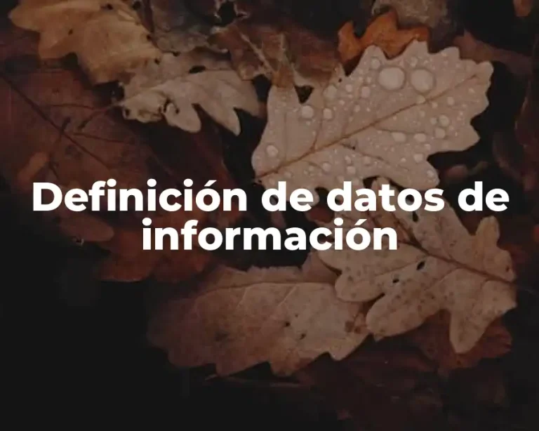 Definición de datos de información