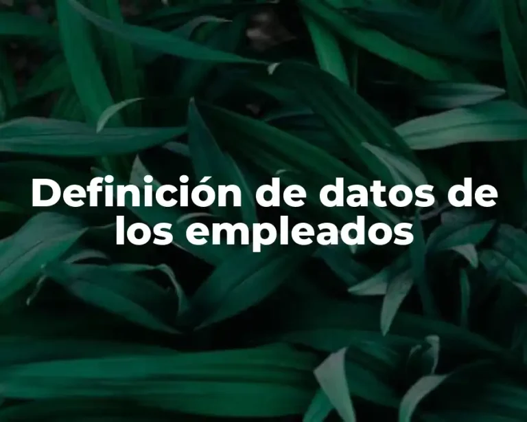Definición de datos de los empleados