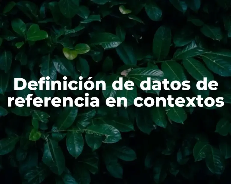Definición de datos de referencia en contextos