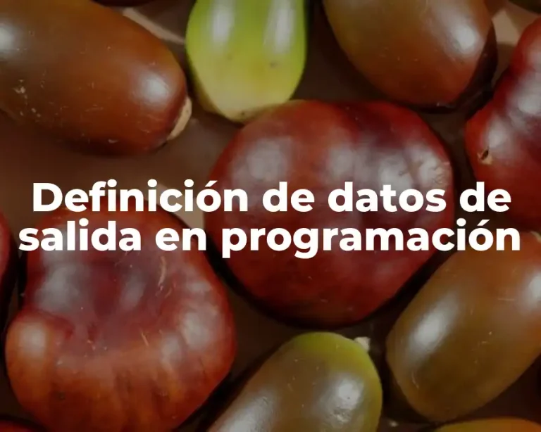 Definición de datos de salida en programación