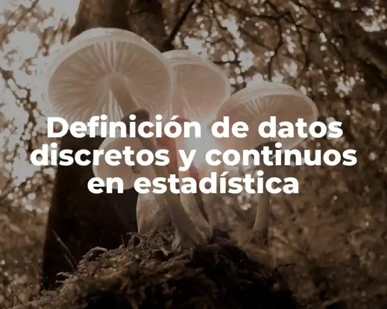 Definición de datos discretos y continuos en estadística