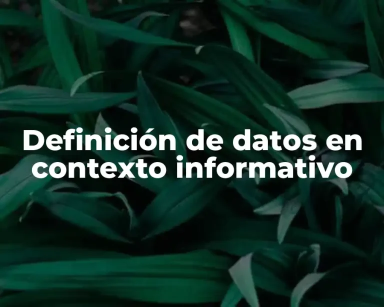 Definición de datos en contexto informativo