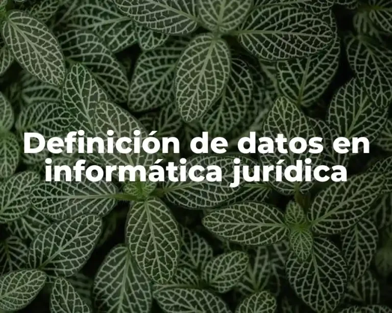 Definición de datos en informática jurídica