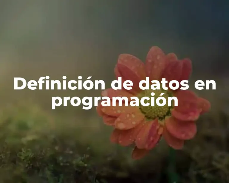 Definición de datos en programación