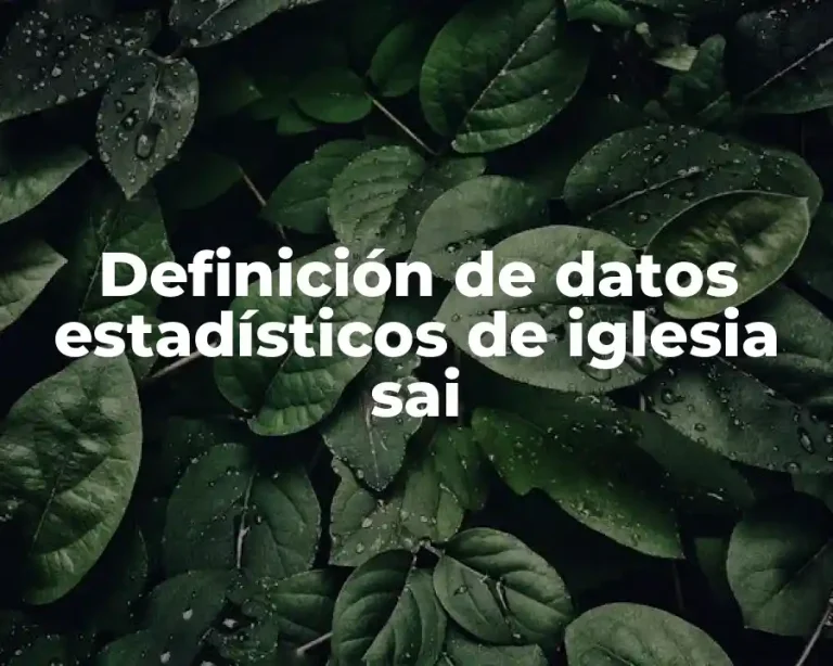 Definición de datos estadísticos de iglesia sai