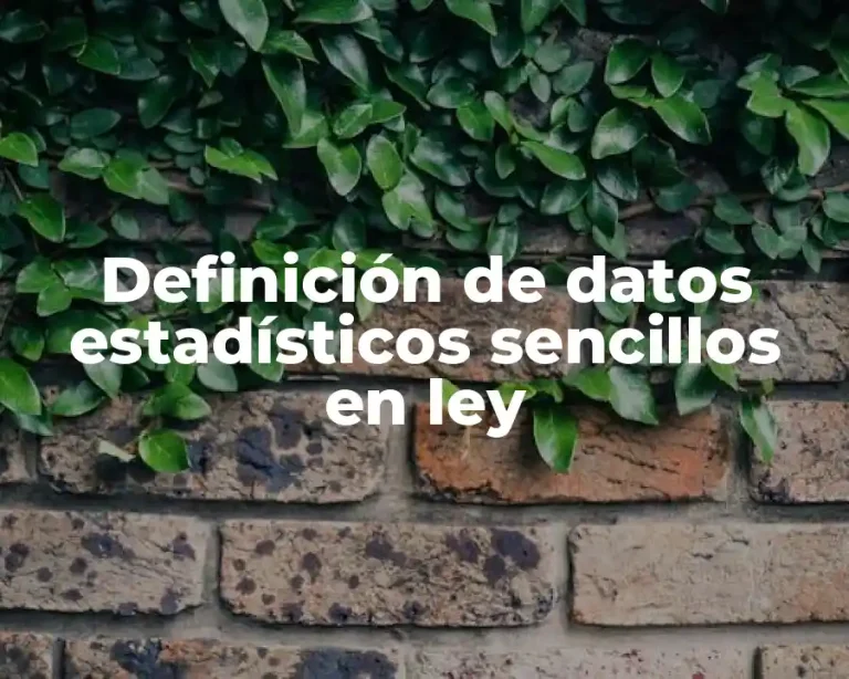 Definición de datos estadísticos sencillos en ley