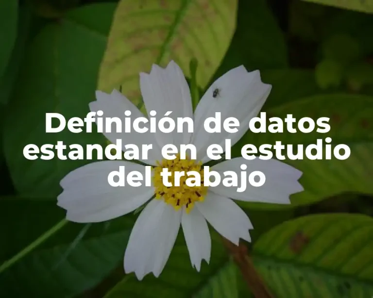 Definición de datos estandar en el estudio del trabajo