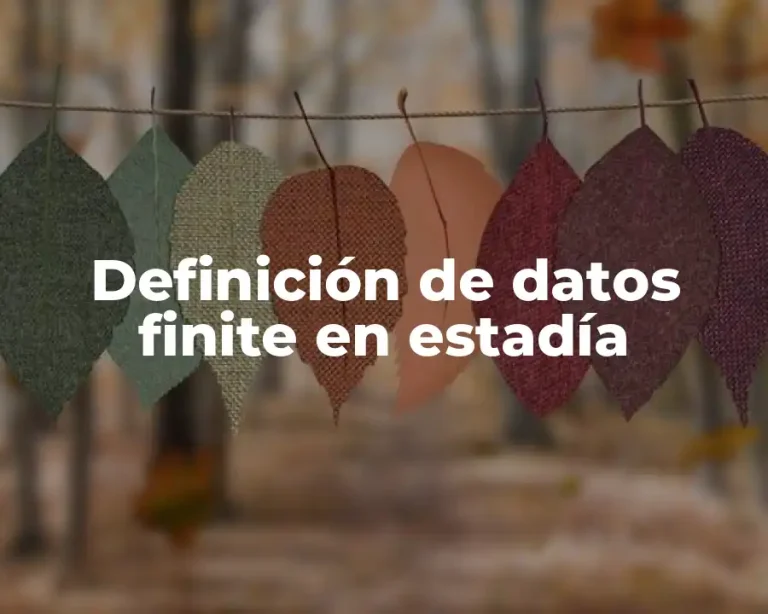 Definición de datos finite en estadía
