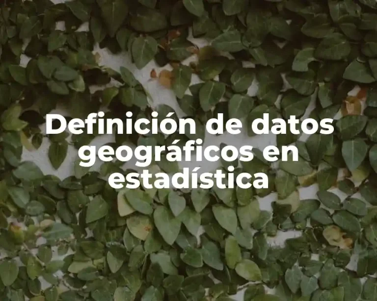 Definición de datos geográficos en estadística