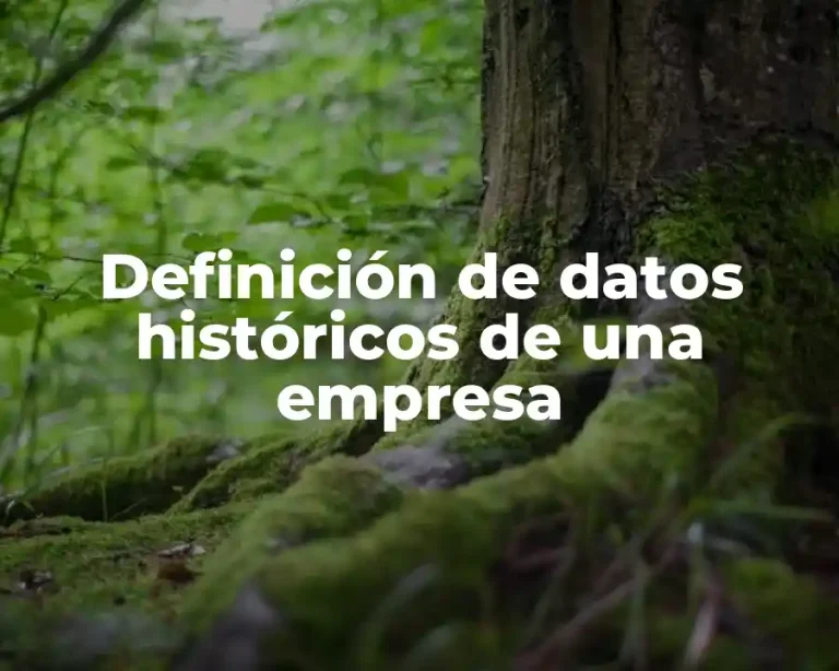 Definición de datos históricos de una empresa
