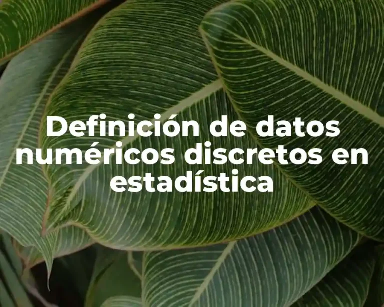 Definición de datos numéricos discretos en estadística