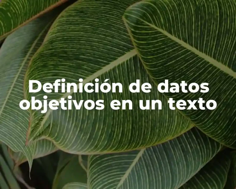 Definición de datos objetivos en un texto