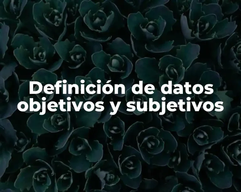 Definición de datos objetivos y subjetivos
