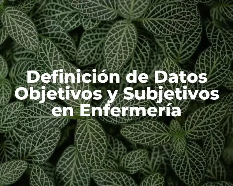 Definición de Datos Objetivos y Subjetivos en Enfermería