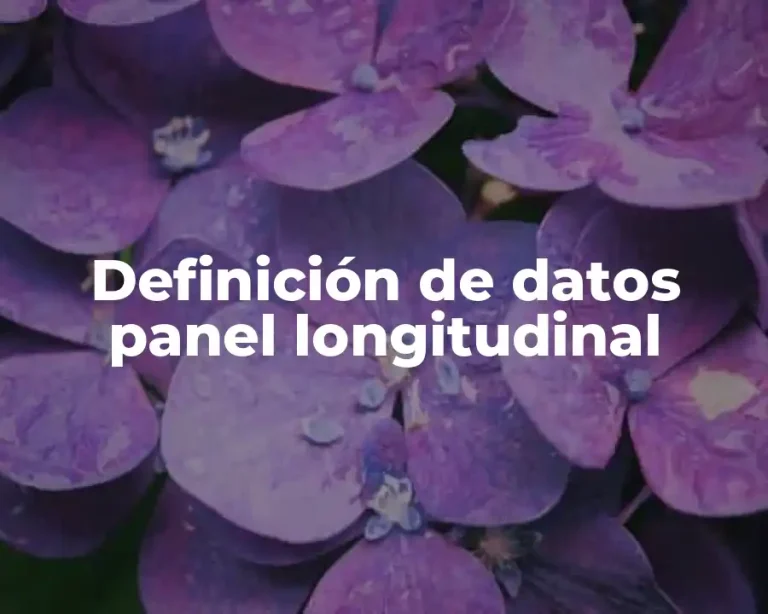 Definición de datos panel longitudinal