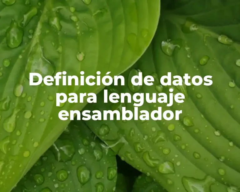 Definición de datos para lenguaje ensamblador