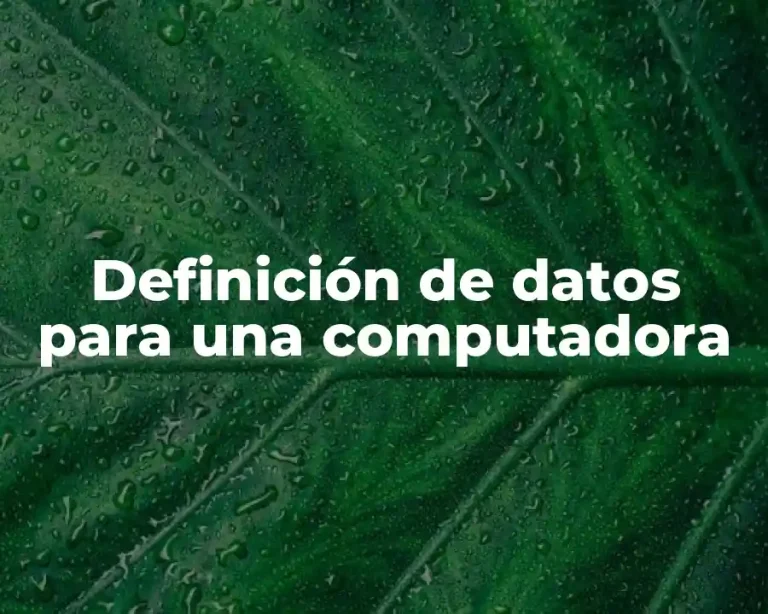Definición de datos para una computadora