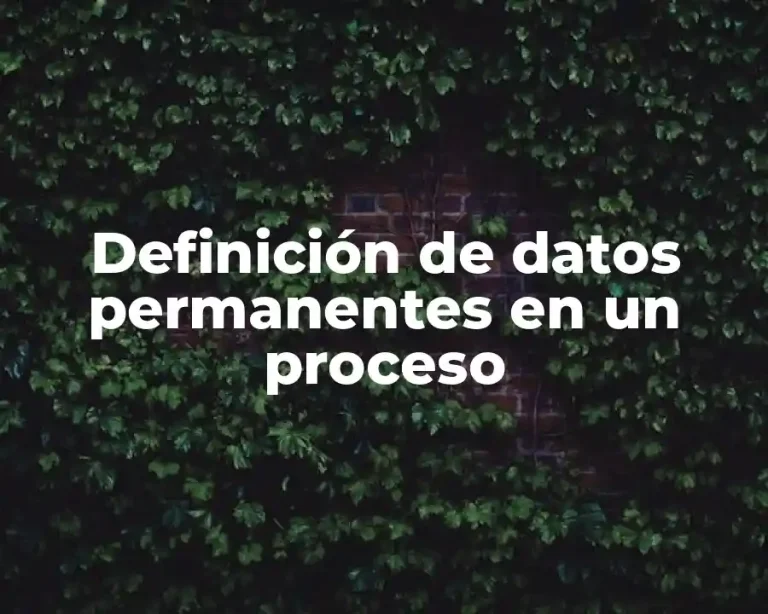 Definición de datos permanentes en un proceso