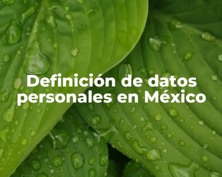 Definición de datos personales en México