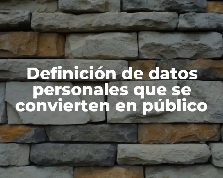Definición de datos personales que se convierten en público