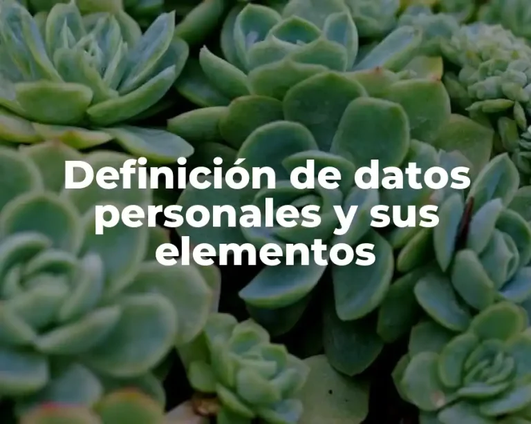 Definición de datos personales y sus elementos