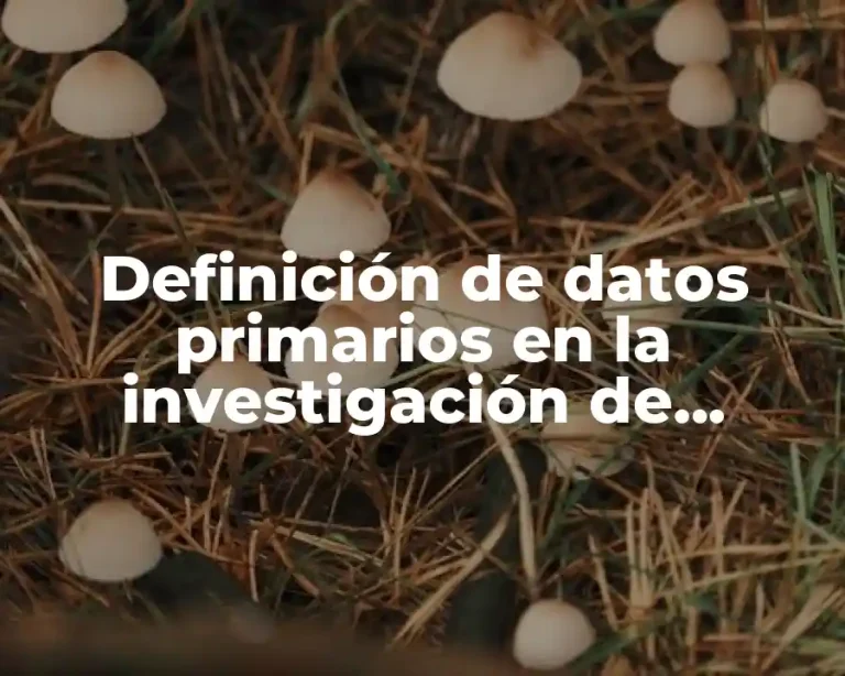 Definición de datos primarios en la investigación de mercados