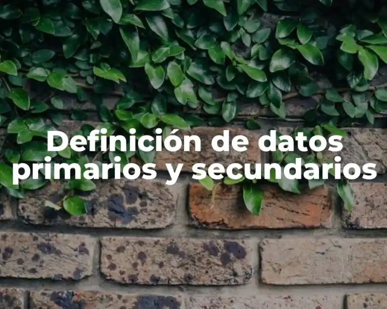 Definición de datos primarios y secundarios