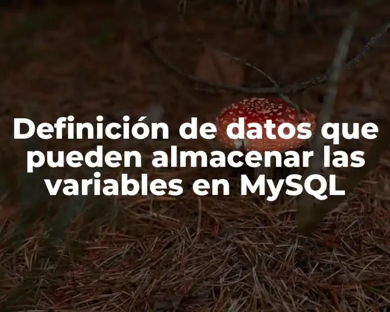 Definición de datos que pueden almacenar las variables en MySQL