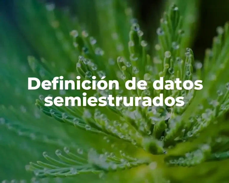 Definición de datos semiestrurados