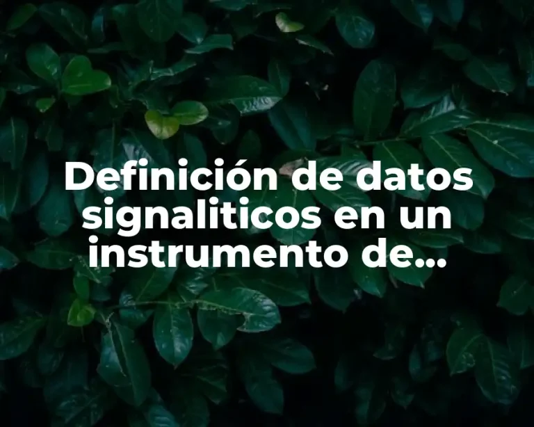 Definición de datos signaliticos en un instrumento de investigación